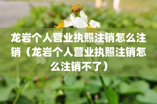 龙岩个人营业执照注销怎么注销(龙岩个人营业执照注销怎么注销不了)