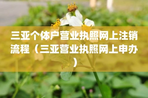 三亚个体户营业执照网上注销流程（三亚营业执照网上申办）