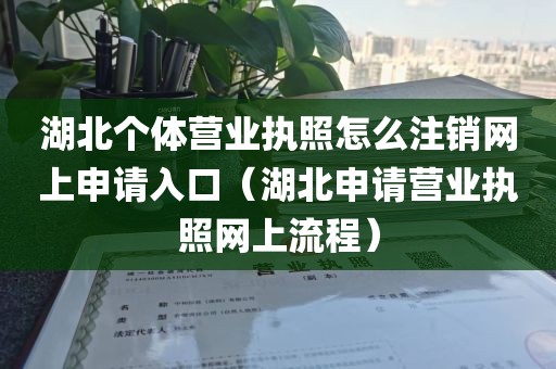 湖北个体营业执照怎么注销网上申请入口（湖北申请营业执照网上流程）