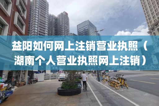 益阳如何网上注销营业执照（湖南个人营业执照网上注销）