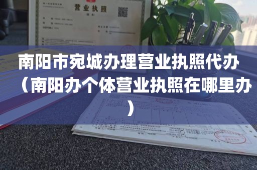 南阳市宛城办理营业执照代办（南阳办个体营业执照在哪里办）