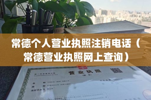 常德个人营业执照注销电话（常德营业执照网上查询）