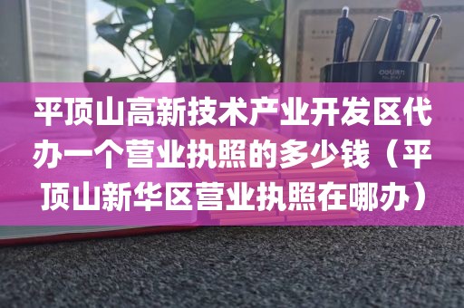 平顶山高新技术产业开发区代办一个营业执照的多少钱（平顶山新华区营业执照在哪办）