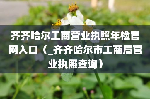 齐齐哈尔工商营业执照年检官网入口(_齐齐哈尔市工商局营业执照查询)