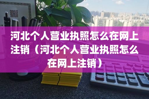 河北个人营业执照怎么在网上注销(河北个人营业执照怎么在网上注销)
