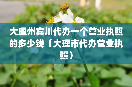 大理州宾川代办一个营业执照的多少钱（大理市代办营业执照）
