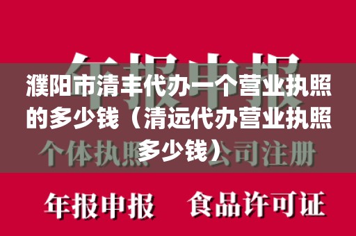 濮阳市清丰代办一个营业执照的多少钱（清远代办营业执照多少钱）