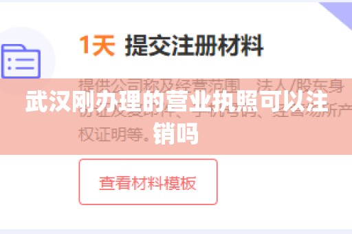 武汉刚办理的营业执照可以注销吗