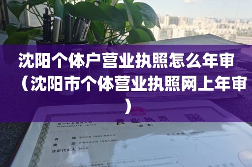 沈阳个体户营业执照怎么年审(沈阳市个体营业执照网上年审)