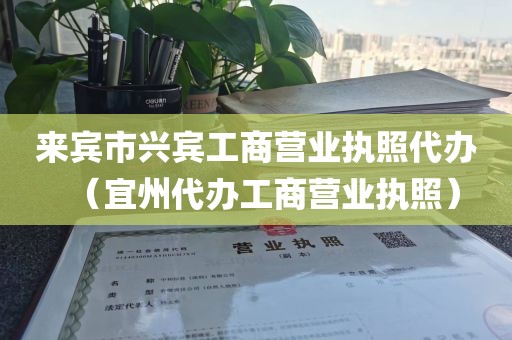 来宾市兴宾工商营业执照代办（宜州代办工商营业执照）