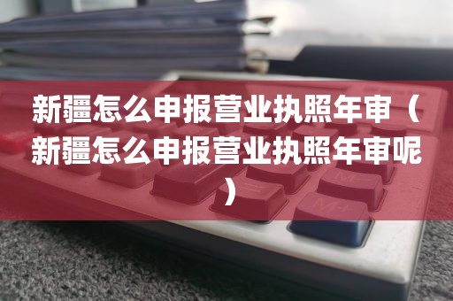 新疆怎么申报营业执照年审（新疆怎么申报营业执照年审呢）