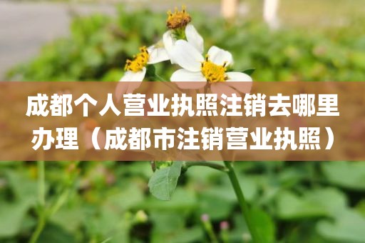 成都个人营业执照注销去哪里办理（成都市注销营业执照）