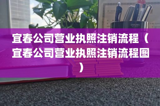 宜春公司营业执照注销流程（宜春公司营业执照注销流程图）
