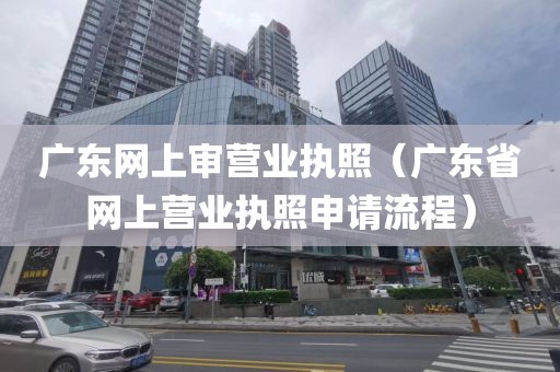 广东网上审营业执照（广东省网上营业执照申请流程）