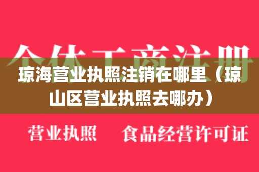 琼海营业执照注销在哪里（琼山区营业执照去哪办）