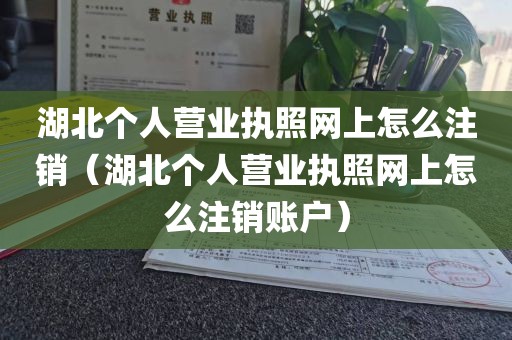 湖北个人营业执照网上怎么注销（湖北个人营业执照网上怎么注销账户）