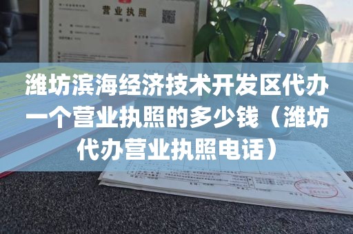 潍坊滨海经济技术开发区代办一个营业执照的多少钱（潍坊代办营业执照电话）