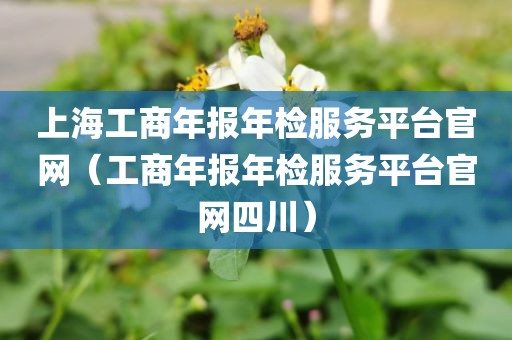 上海工商年报年检服务平台官网(工商年报年检服务平台官网四川)