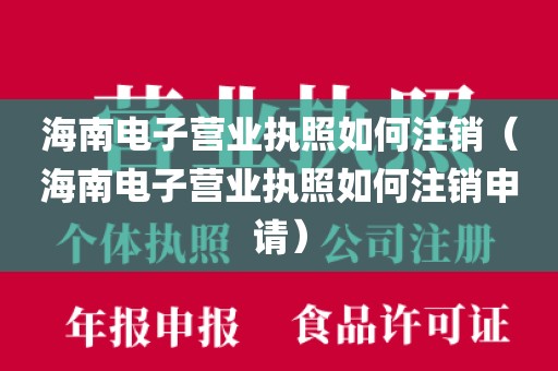 海南电子营业执照如何注销（海南电子营业执照如何注销申请）