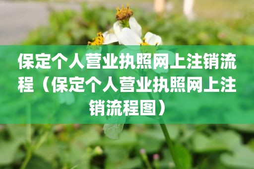 保定个人营业执照网上注销流程(保定个人营业执照网上注销流程图)