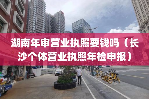 湖南年审营业执照要钱吗（长沙个体营业执照年检申报）