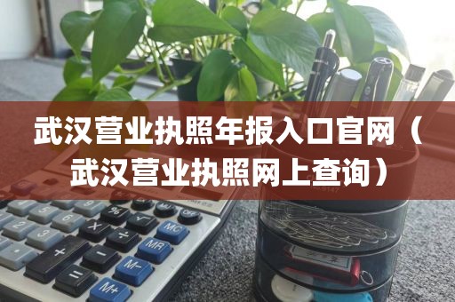 武汉营业执照年报入口官网(武汉营业执照网上查询)