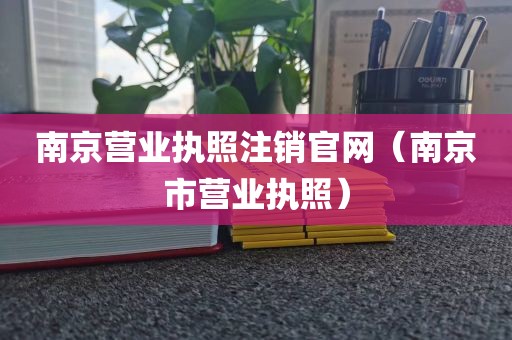 南京营业执照注销官网（南京市营业执照）
