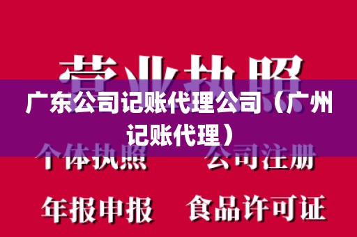广东公司记账代理公司（广州记账代理）