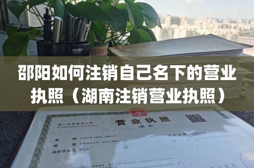 邵阳如何注销自己名下的营业执照（湖南注销营业执照）