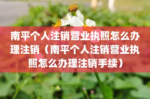 南平个人注销营业执照怎么办理注销（南平个人注销营业执照怎么办理注销手续）