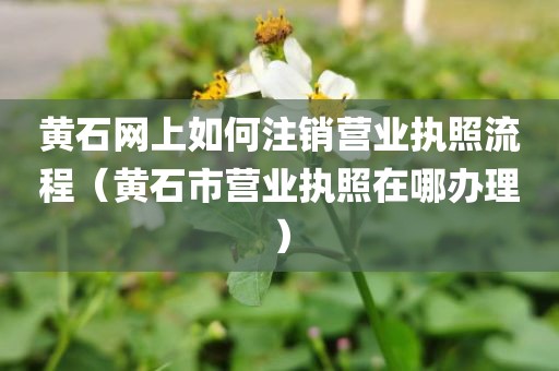 黄石网上如何注销营业执照流程(黄石市营业执照在哪办理)