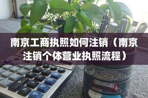 南京工商执照如何注销（南京注销个体营业执照流程）
