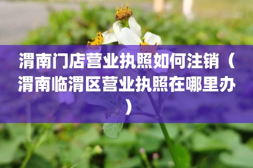 渭南门店营业执照如何注销（渭南临渭区营业执照在哪里办）