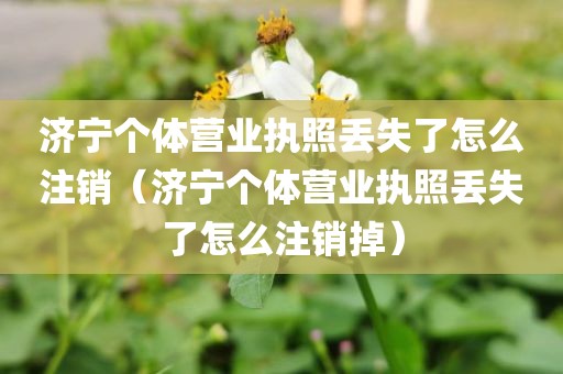 济宁个体营业执照丢失了怎么注销(济宁个体营业执照丢失了怎么注销掉)