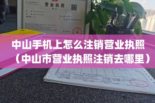 中山手机上怎么注销营业执照(中山市营业执照注销去哪里)