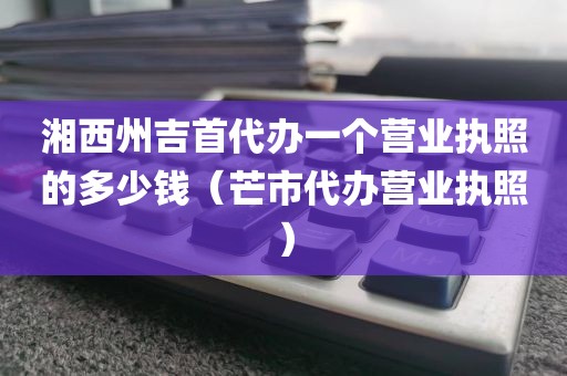 湘西州吉首代办一个营业执照的多少钱（芒市代办营业执照）