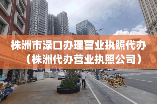 株洲市渌口办理营业执照代办（株洲代办营业执照公司）