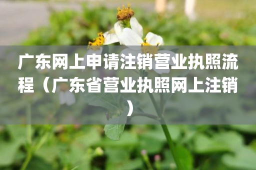 广东网上申请注销营业执照流程(广东省营业执照网上注销)