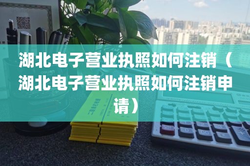 湖北电子营业执照如何注销（湖北电子营业执照如何注销申请）