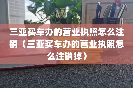 三亚买车办的营业执照怎么注销（三亚买车办的营业执照怎么注销掉）