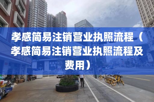 孝感简易注销营业执照流程（孝感简易注销营业执照流程及费用）