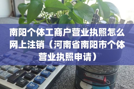 南阳个体工商户营业执照怎么网上注销（河南省南阳市个体营业执照申请）
