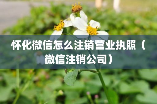 怀化微信怎么注销营业执照(微信注销公司)
