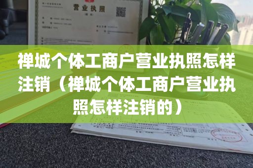 禅城个体工商户营业执照怎样注销（禅城个体工商户营业执照怎样注销的）