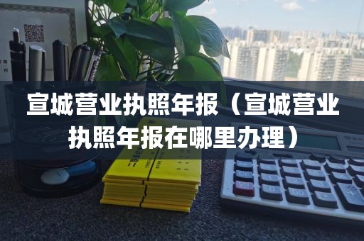 宣城营业执照年报（宣城营业执照年报在哪里办理）