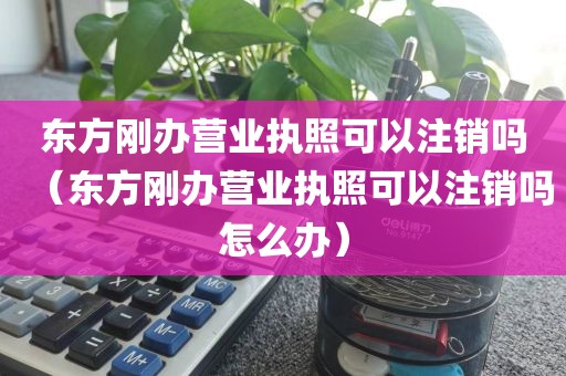 东方刚办营业执照可以注销吗(东方刚办营业执照可以注销吗怎么办)