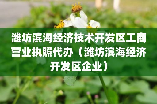 潍坊滨海经济技术开发区工商营业执照代办（潍坊滨海经济开发区企业）