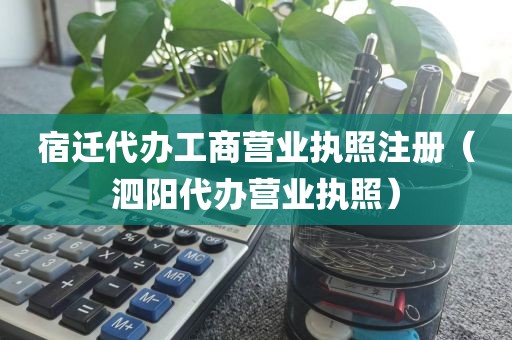 宿迁代办工商营业执照注册（泗阳代办营业执照）