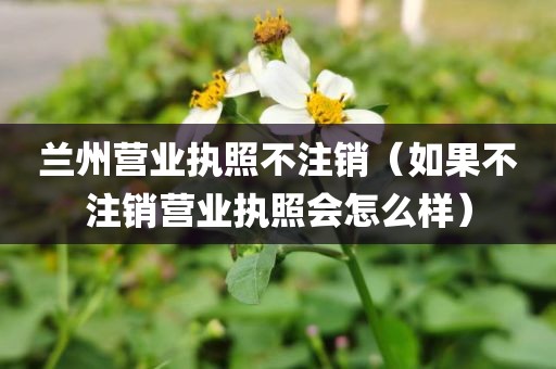 兰州营业执照不注销（如果不注销营业执照会怎么样）