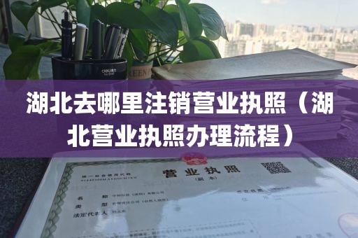 湖北去哪里注销营业执照（湖北营业执照办理流程）